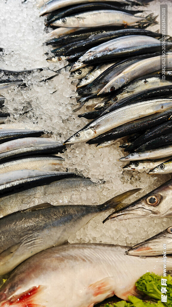 新鲜海鱼陈列在冰上