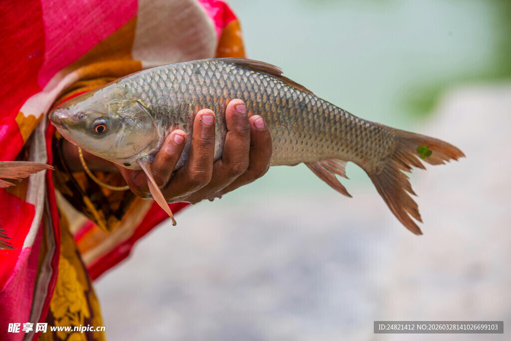 手中抓着的鲜活大鱼