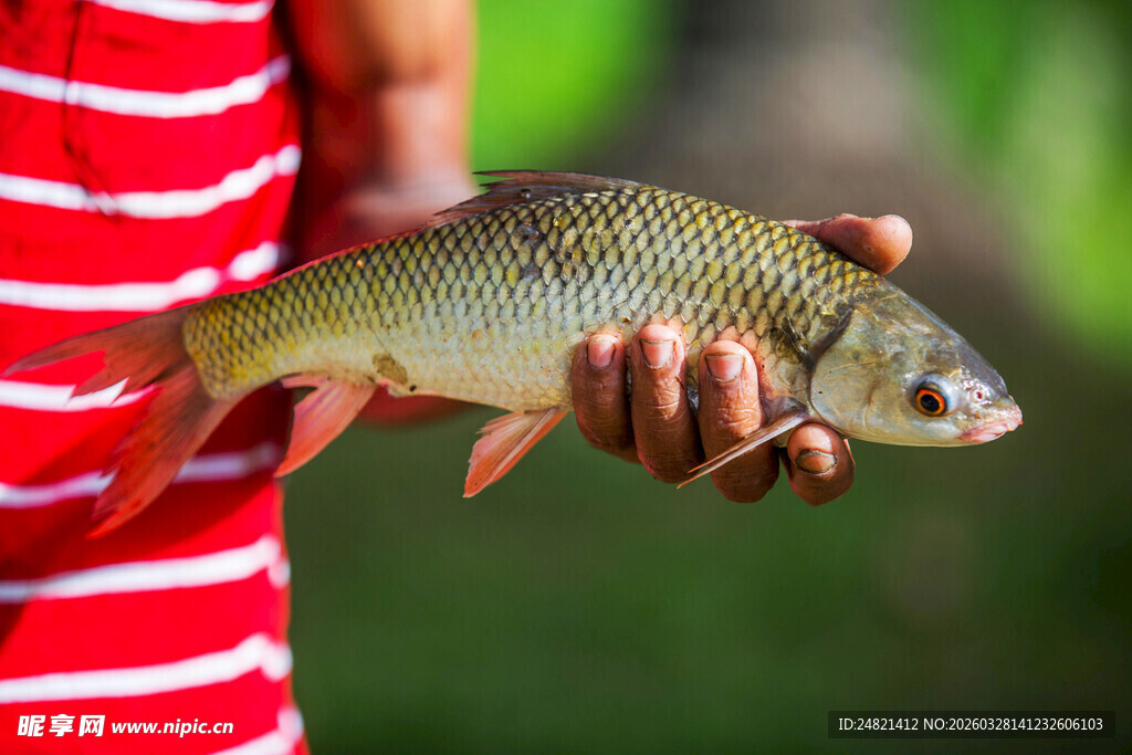 手持肥硕河鱼的瞬间