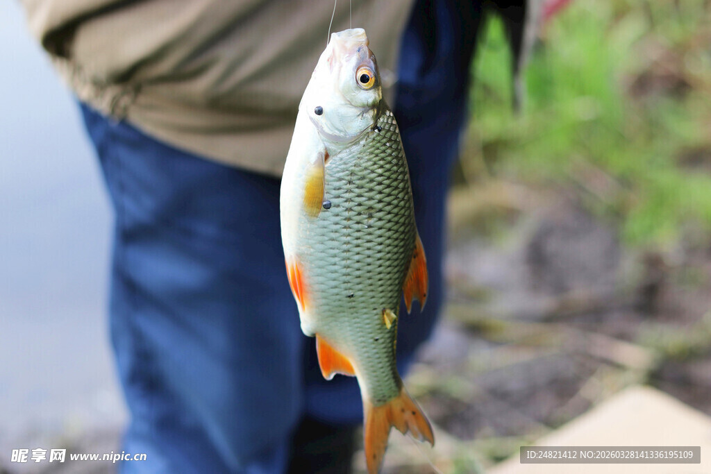 河边垂钓者展示捕获的鱼