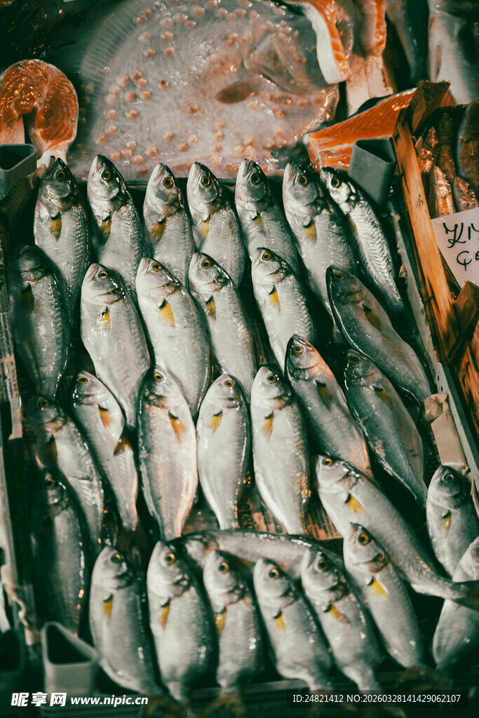 新鲜海鱼整齐码放售卖