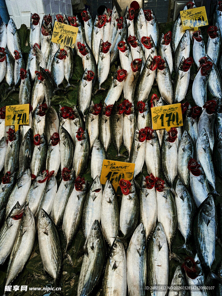 市场中整齐摆放的鲜鱼