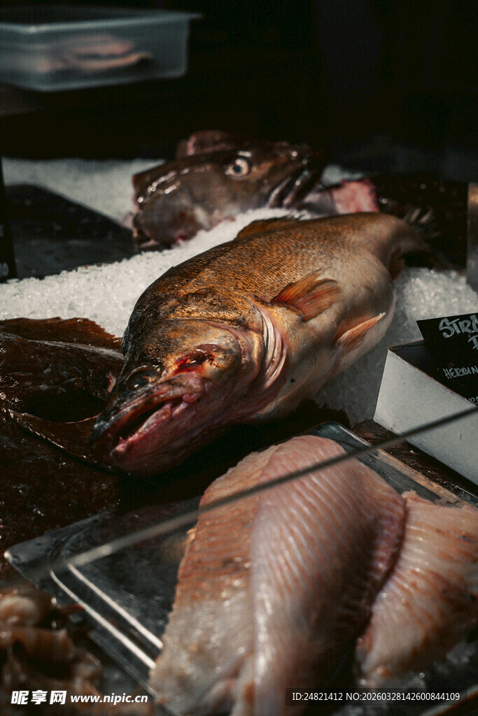 新鲜海鱼陈列于市场摊位