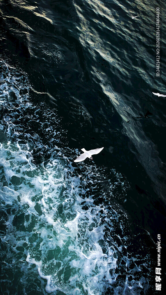 海上冲浪者激起白色浪花