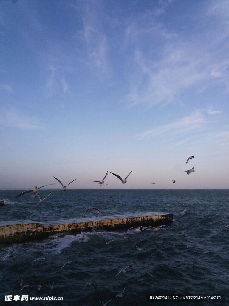 海上飞鸟与栈桥美景