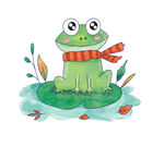 戴围巾的可爱青蛙插画