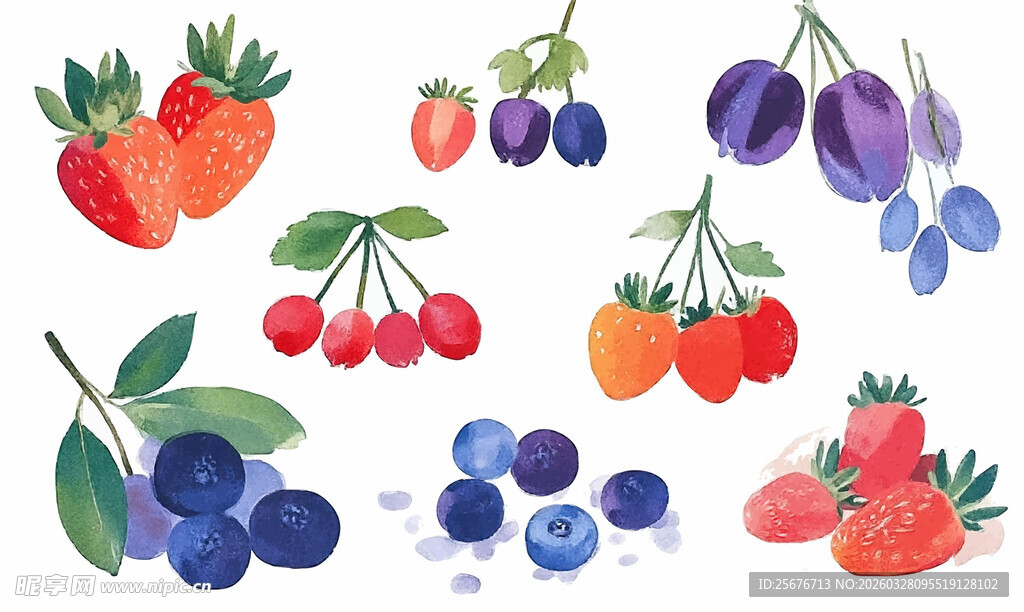 多彩新鲜浆果插画集合