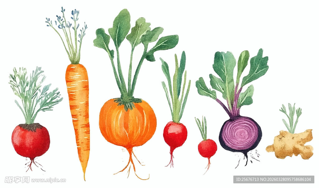 新鲜多样蔬菜大集合