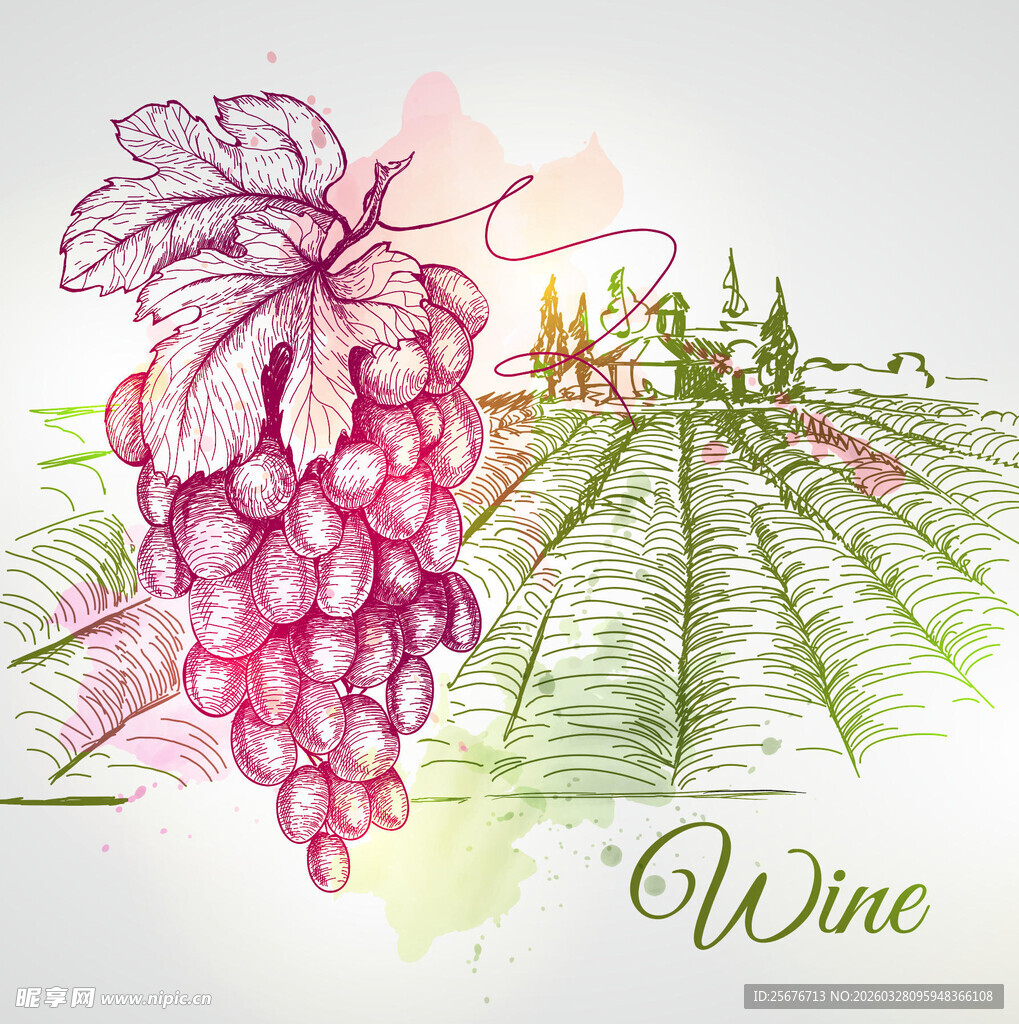 水彩绘葡萄与葡萄酒景