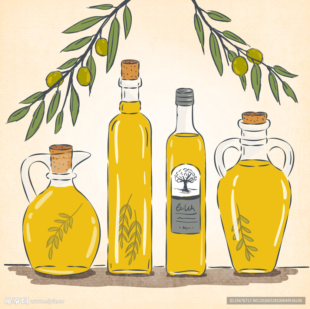 瓶装橄榄油与橄榄枝展示