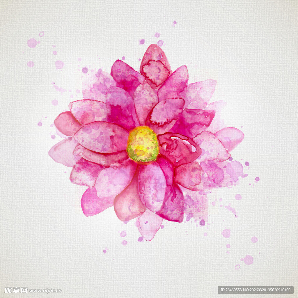 水彩绘粉色花朵