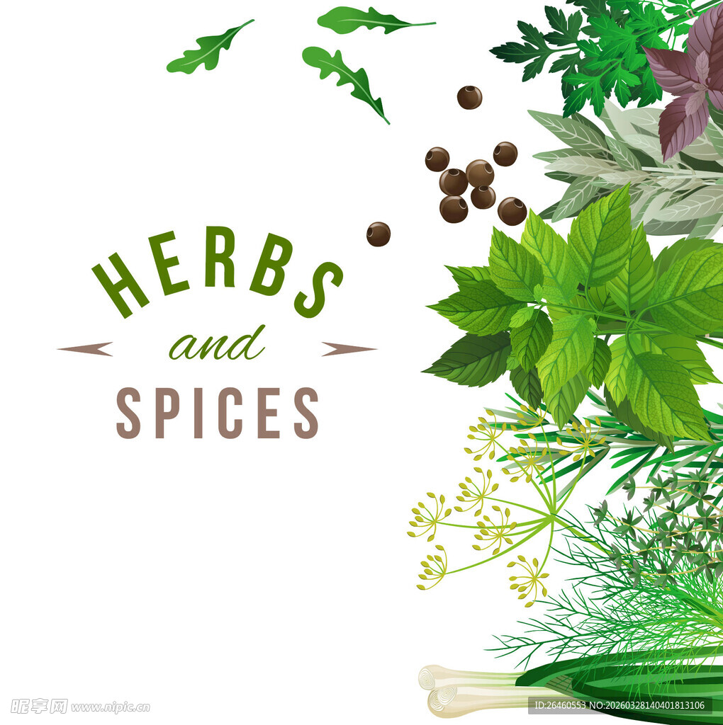 香草与香料的清新组合