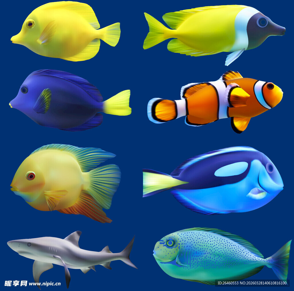 多彩海洋鱼类大集合