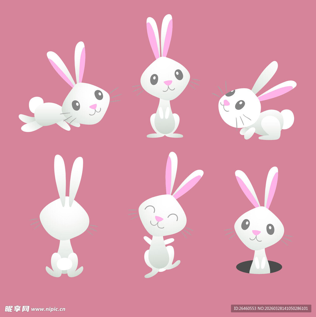 可爱兔子的多样动态姿势
