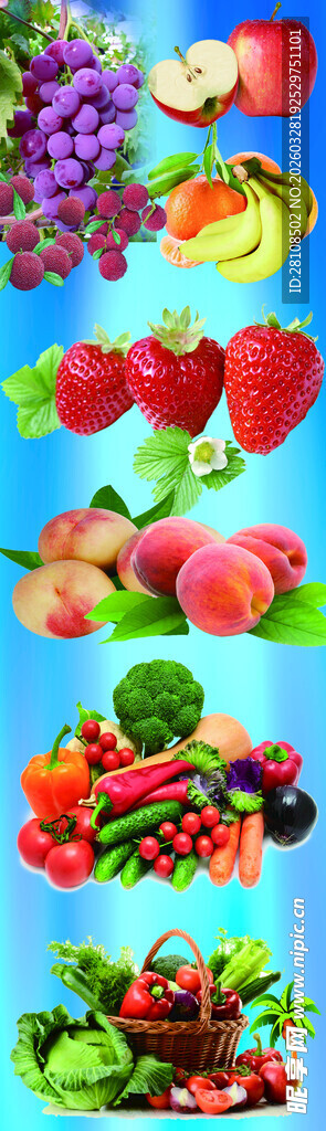 缤纷多彩新鲜果蔬集合