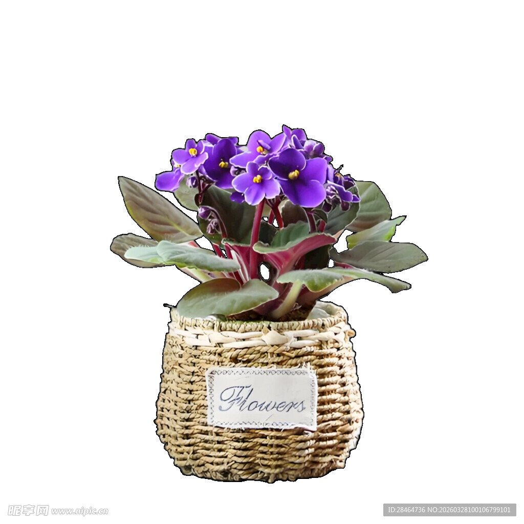 紫花编织盆栽摆件