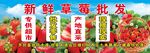 新鲜草莓批发宣传海报