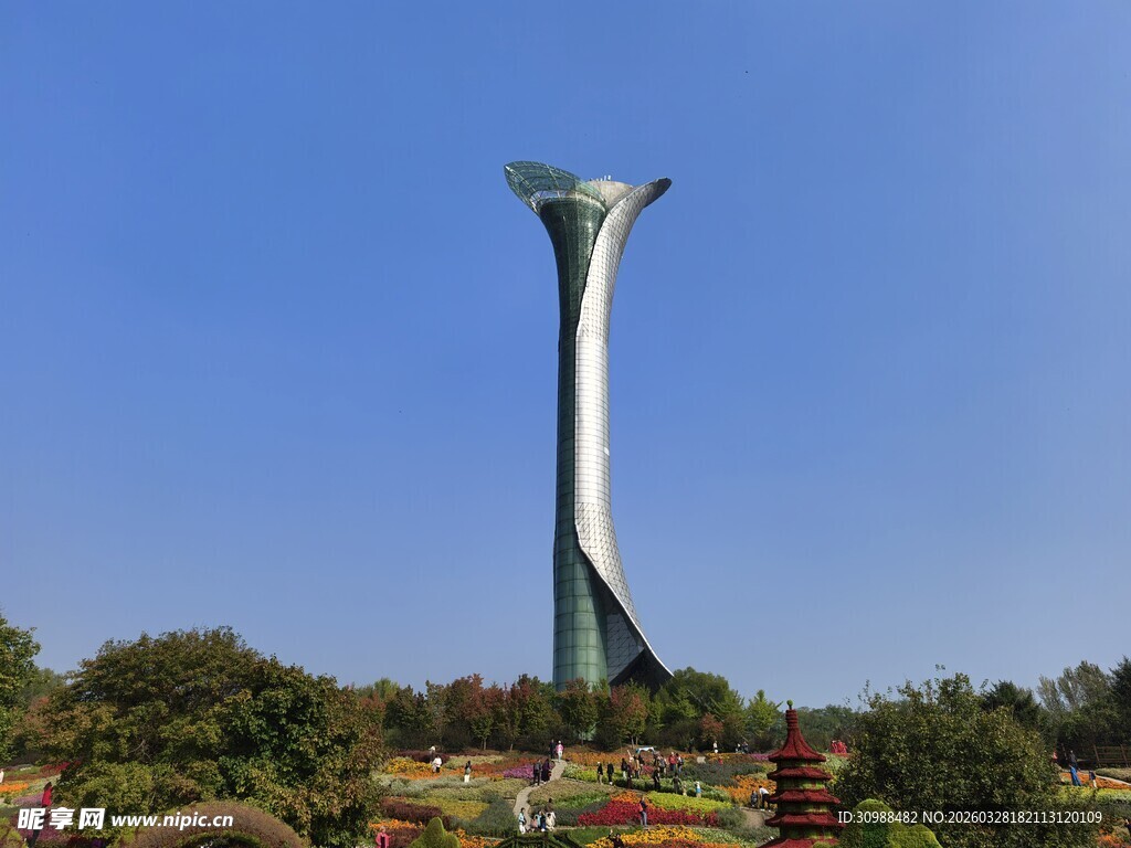 高耸的现代化观光塔景观