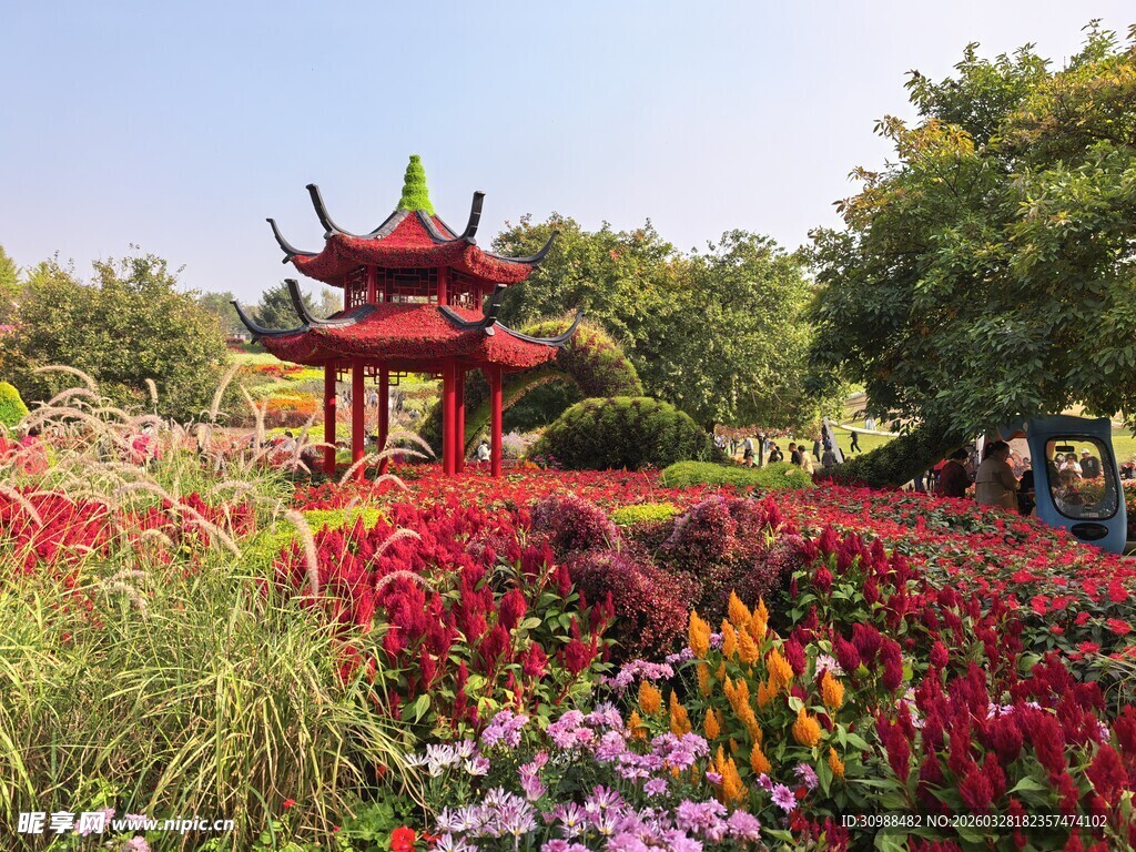 花园中的中式凉亭美景