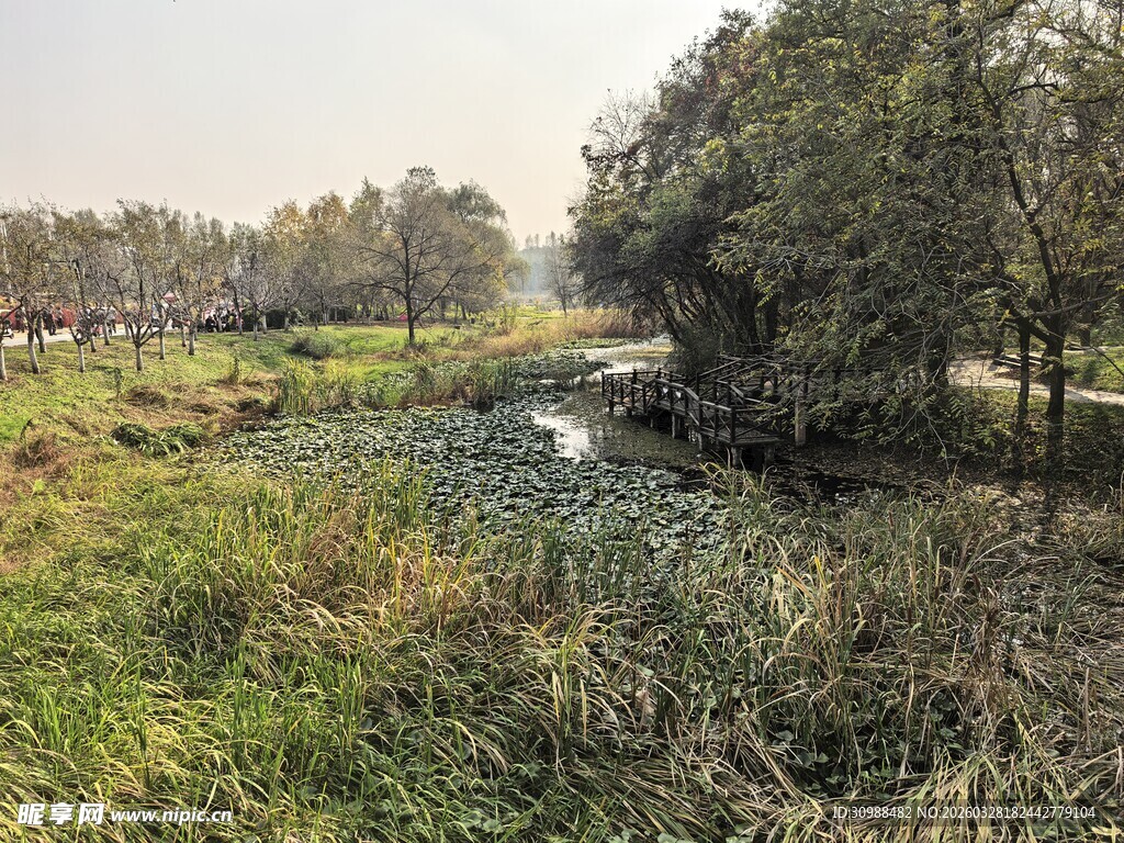 乡村溪边自然景致