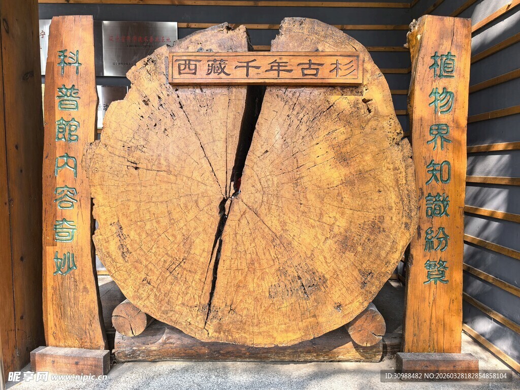 古老开裂的木质车轮