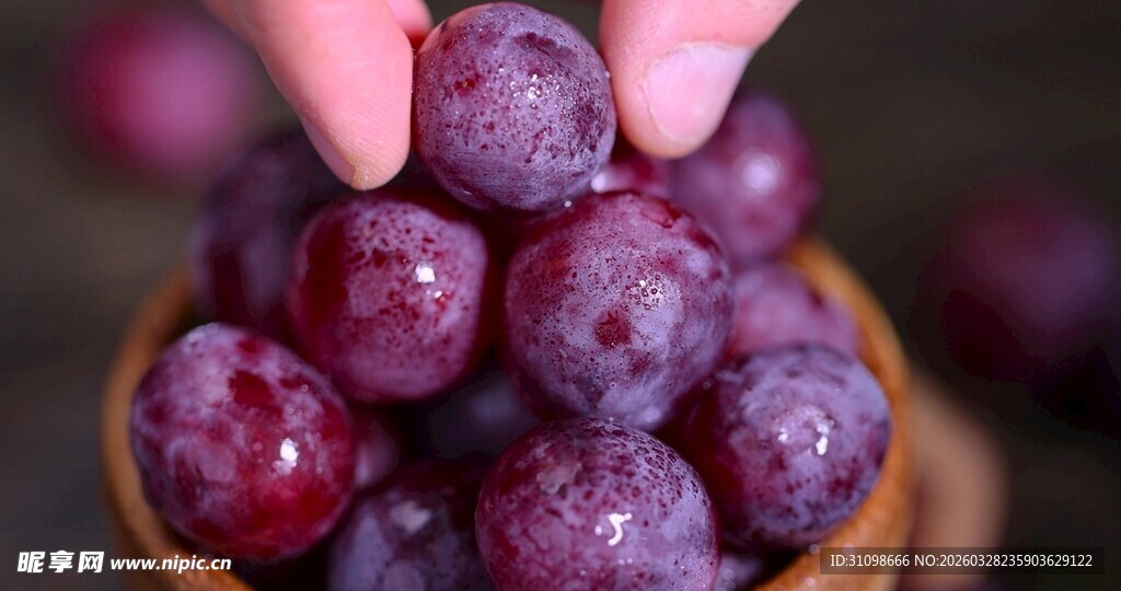 手捧深紫葡萄