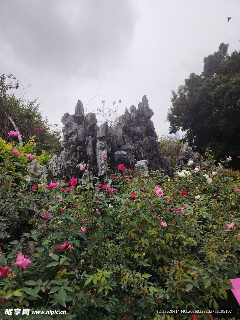 花丛中的神秘石制建筑