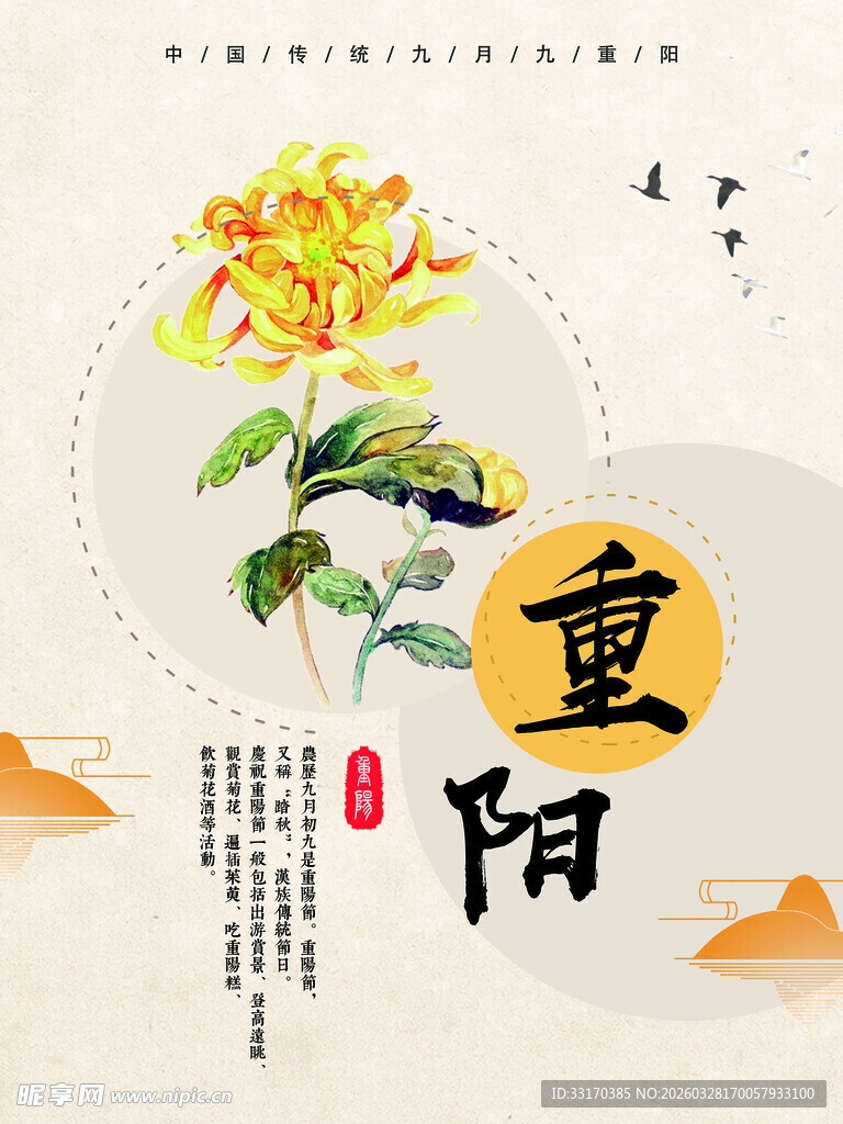 重阳佳节菊花图