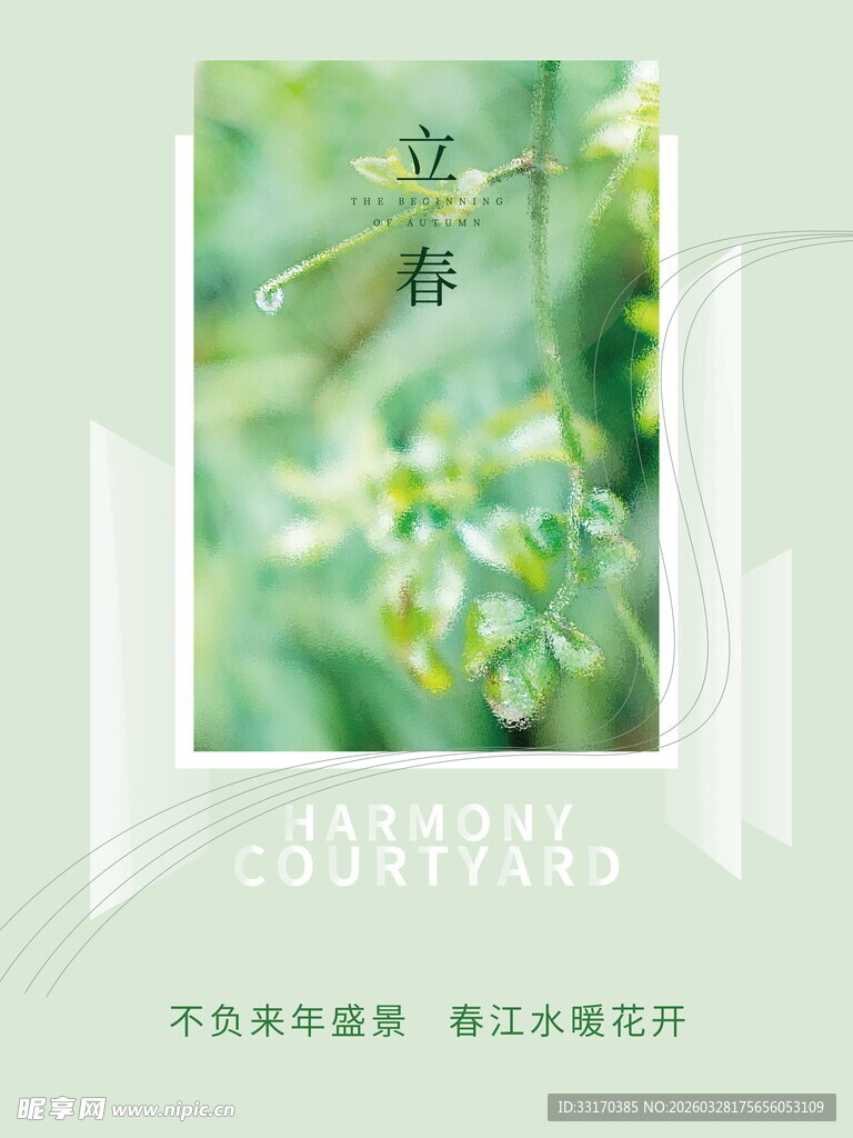 绿叶上的蜻蜓特写