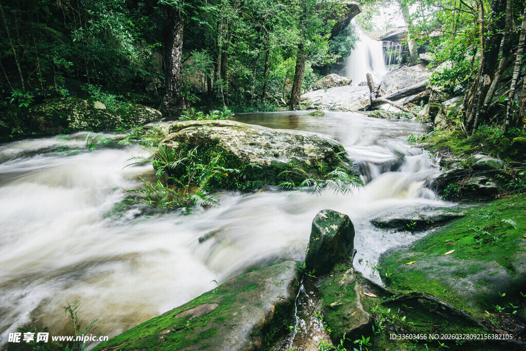 森林中湍急的溪流瀑布