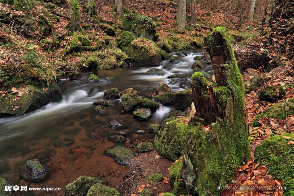 林间溪流