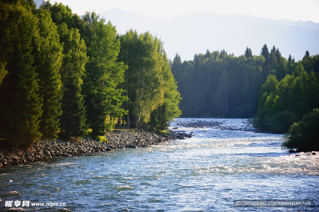 河畔葱郁树林与潺潺流水