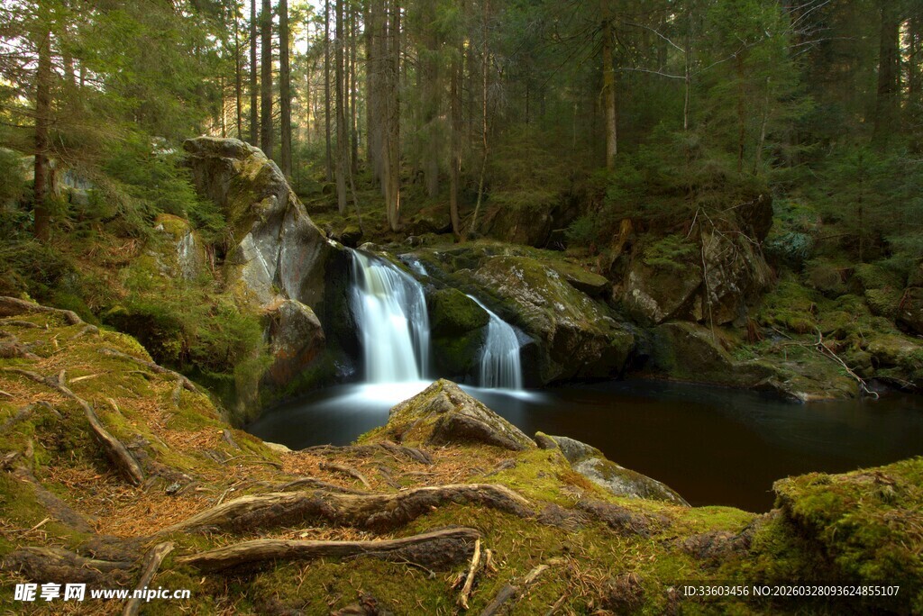 森林中的清幽小瀑布