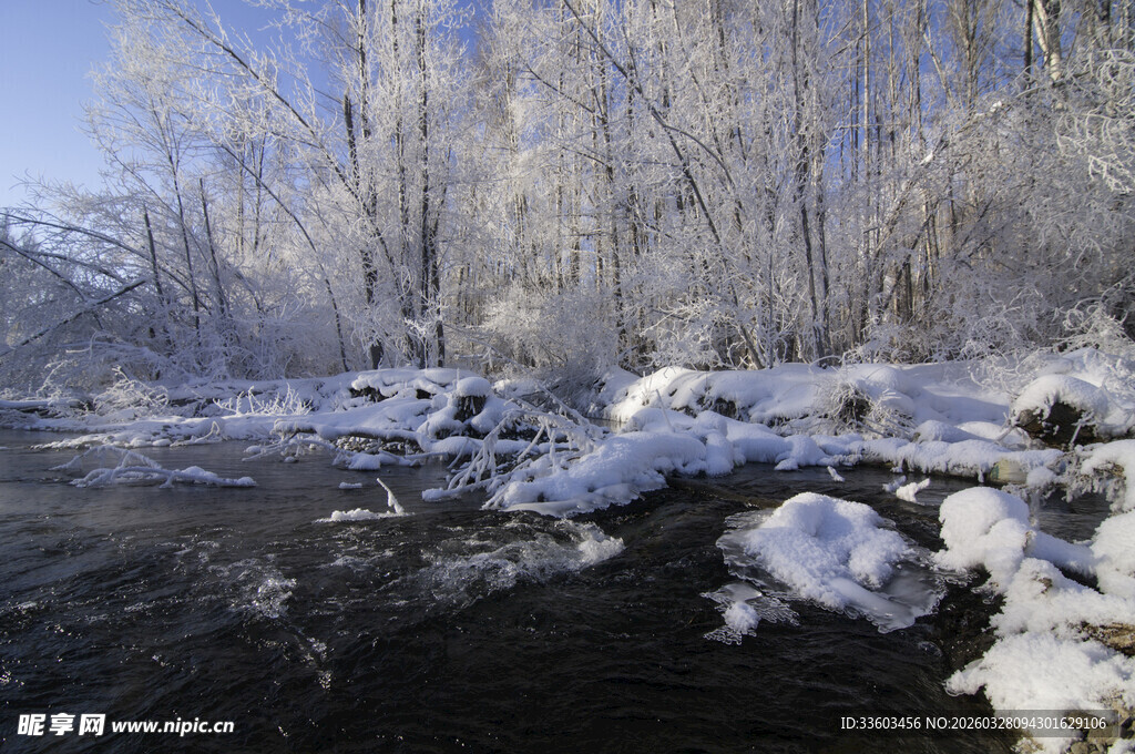 冬日冰雪覆盖的溪边树林