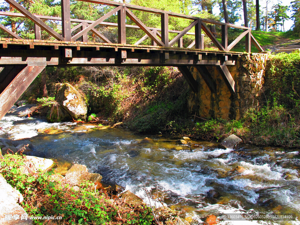 林间木桥跨潺潺溪流