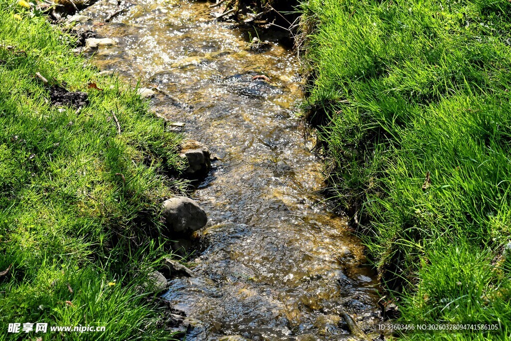 山间小溪潺潺流淌