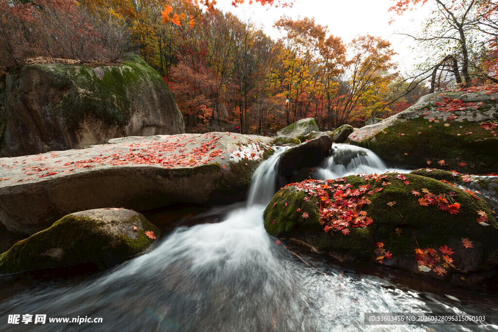 秋日溪边红叶潺潺流水