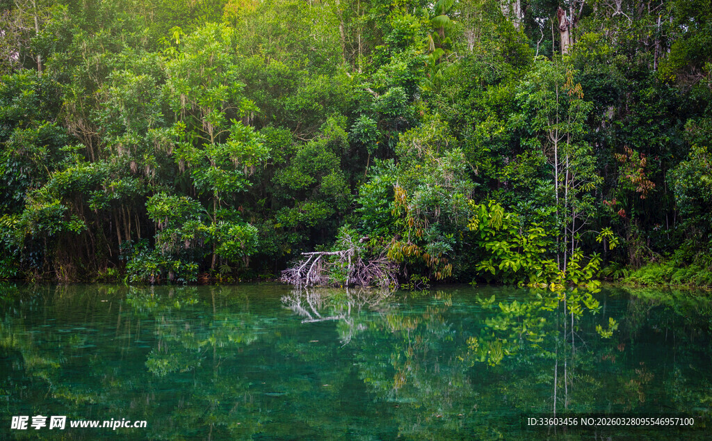静谧湖景中的林间小屋