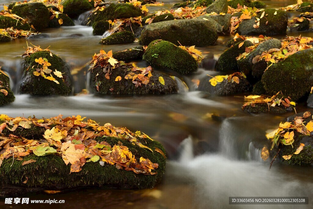 秋溪淌过覆叶青苔石