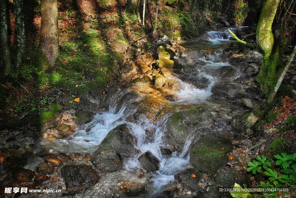 山林间潺潺流淌的清澈溪流