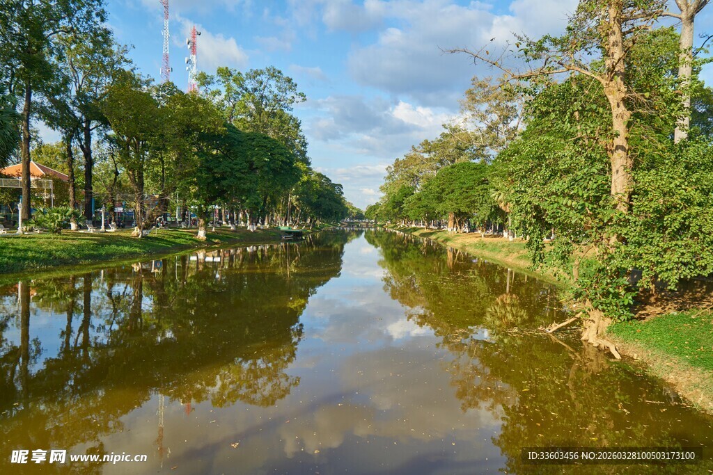 河畔绿树成荫的静谧风光