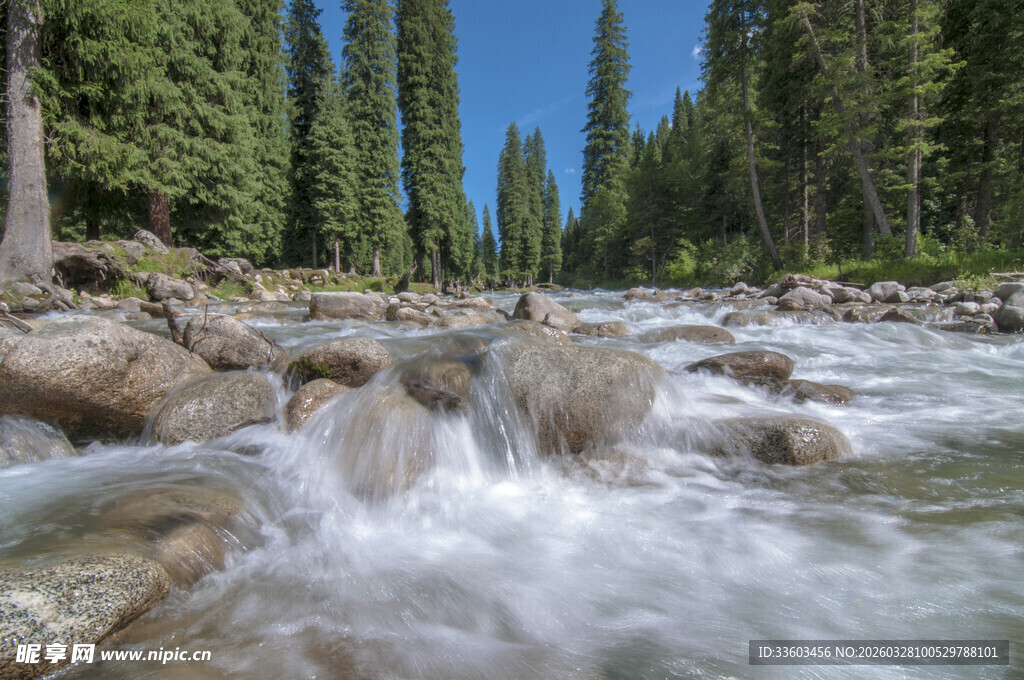 山间湍急溪流穿行于树林