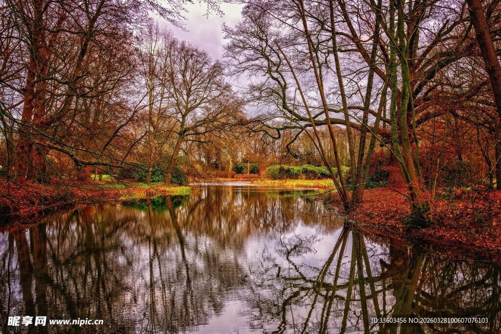 秋日湖畔树林倒影之美