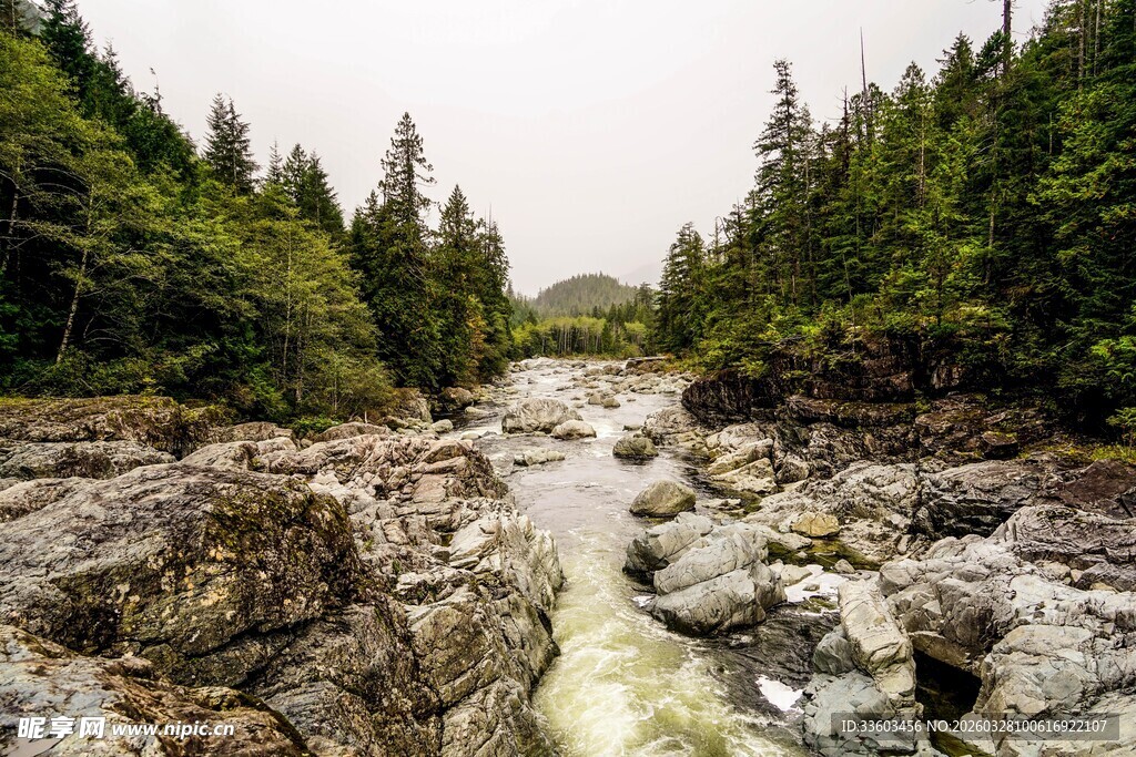 山间湍急溪流穿林而过