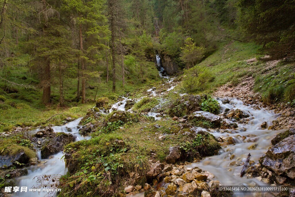 山间溪流森林美景