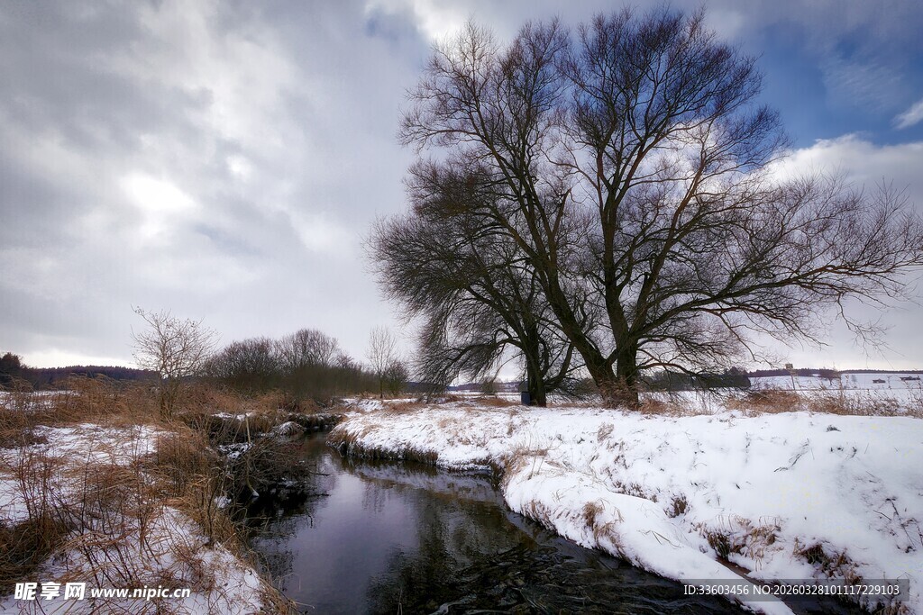 冬日溪边雪景