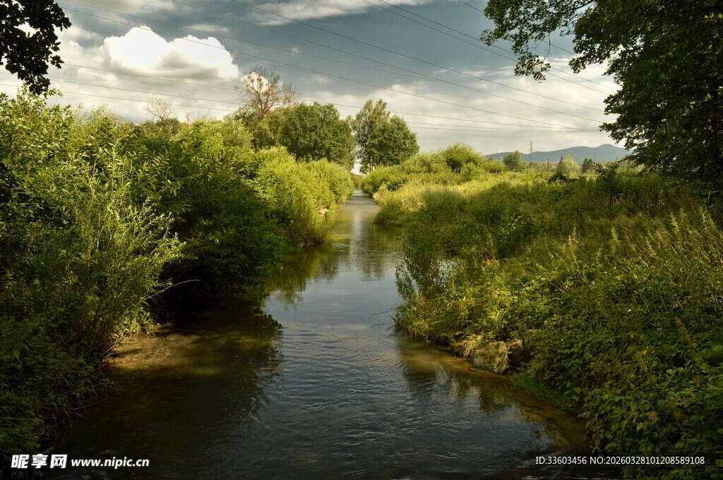 乡村河畔绿意盎然美景