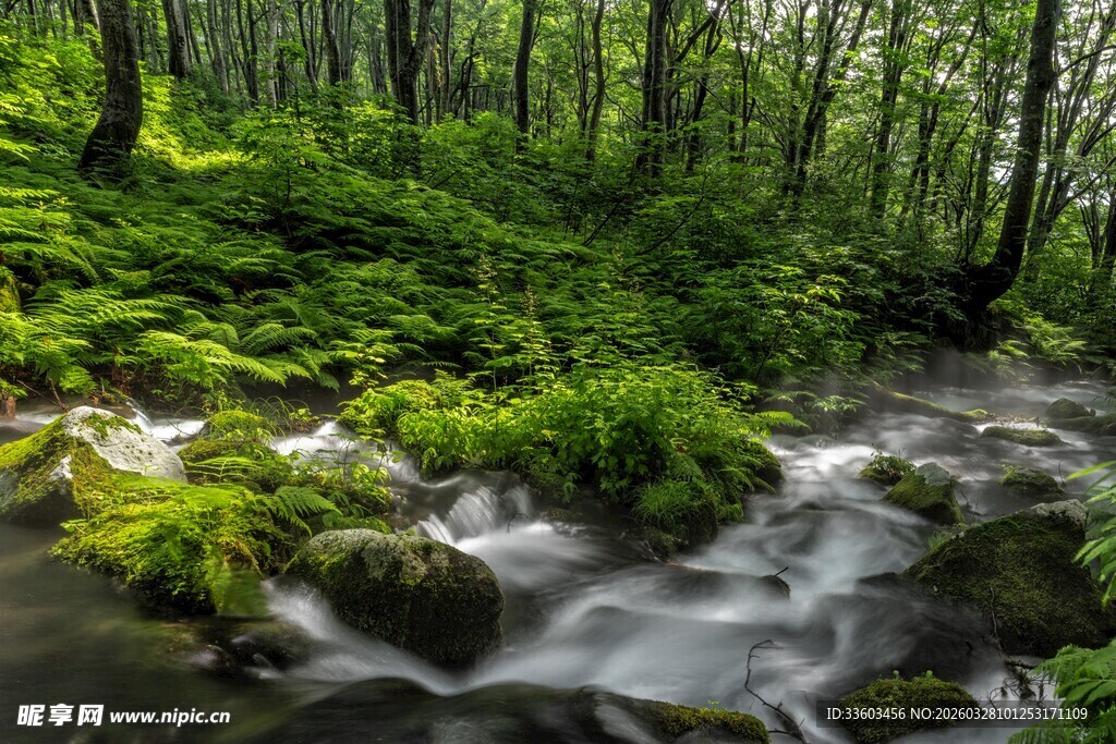山林间潺潺溪流的自然美景