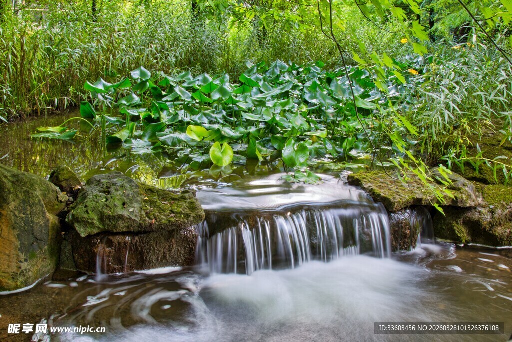 山间潺潺溪流绿意环绕