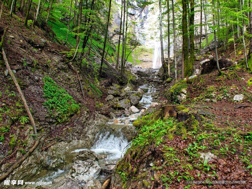 山林间的潺潺溪流
